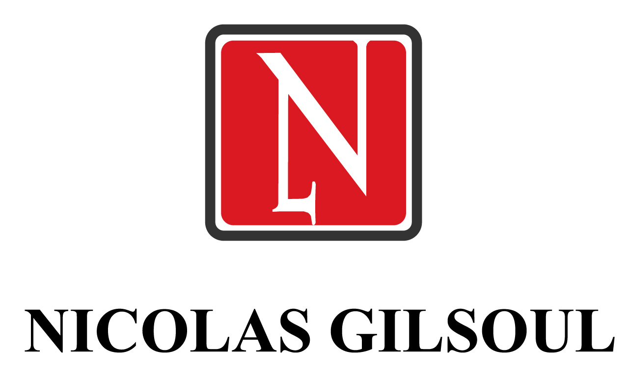 Design de Logo par SBose pour Nicolas Gilsoul | Design #7808031