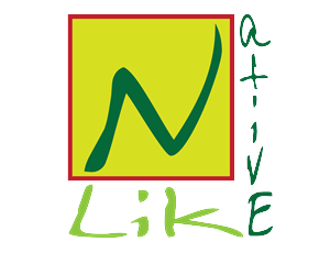 Diseño de Logo por Pakko para Nativelike Ltd | Diseño: #1918001