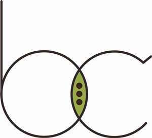 Logo Design by Chinh