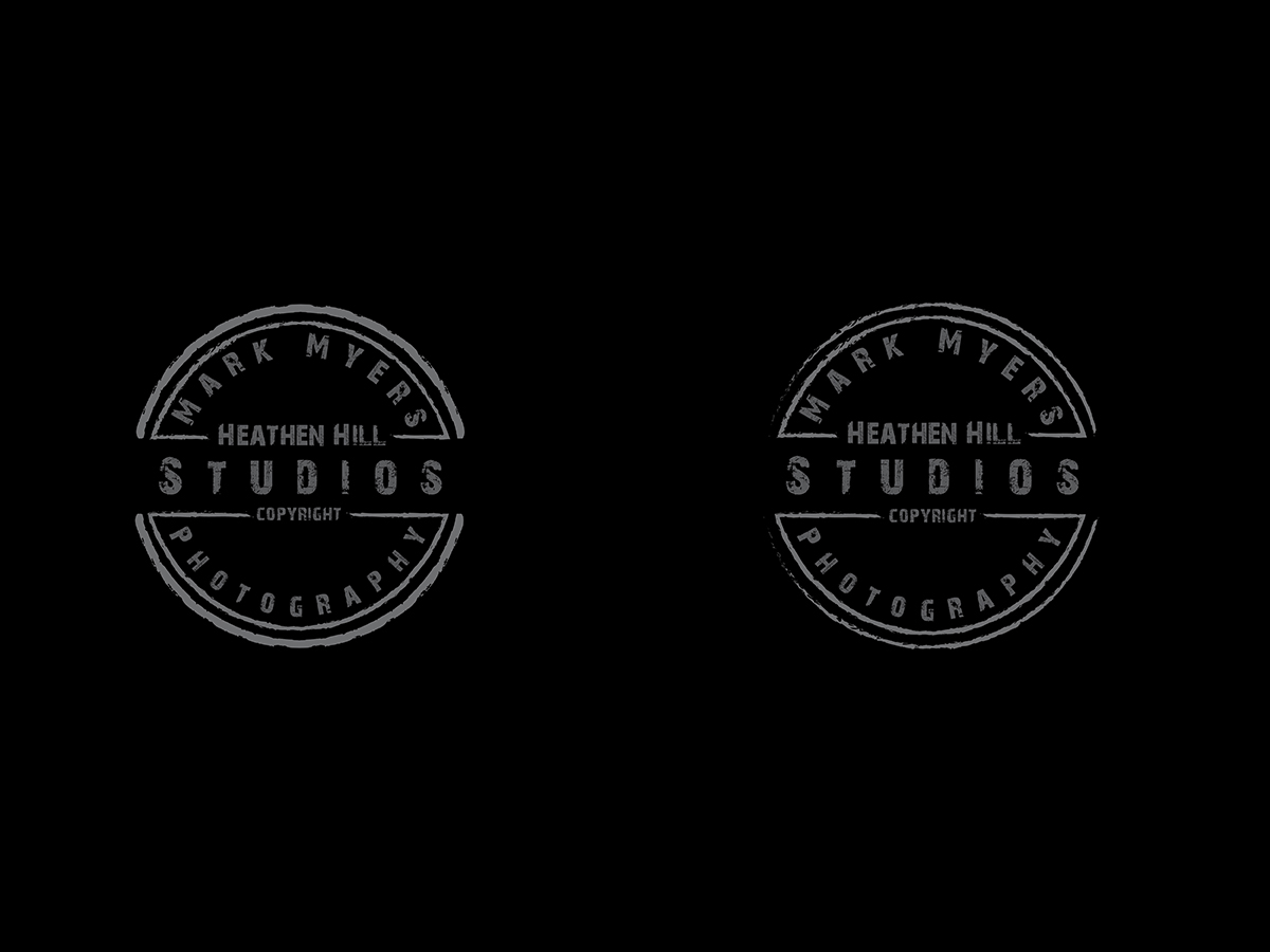 Diseño de Logo por LogOn para Mark Myers Photography llc | Diseño #7801510