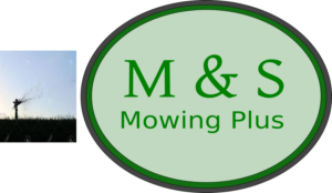 Logo Design by onlinefreelancer112