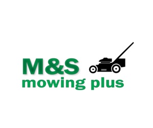 Logo Design by dGraph