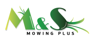 Logo Design by Alaya