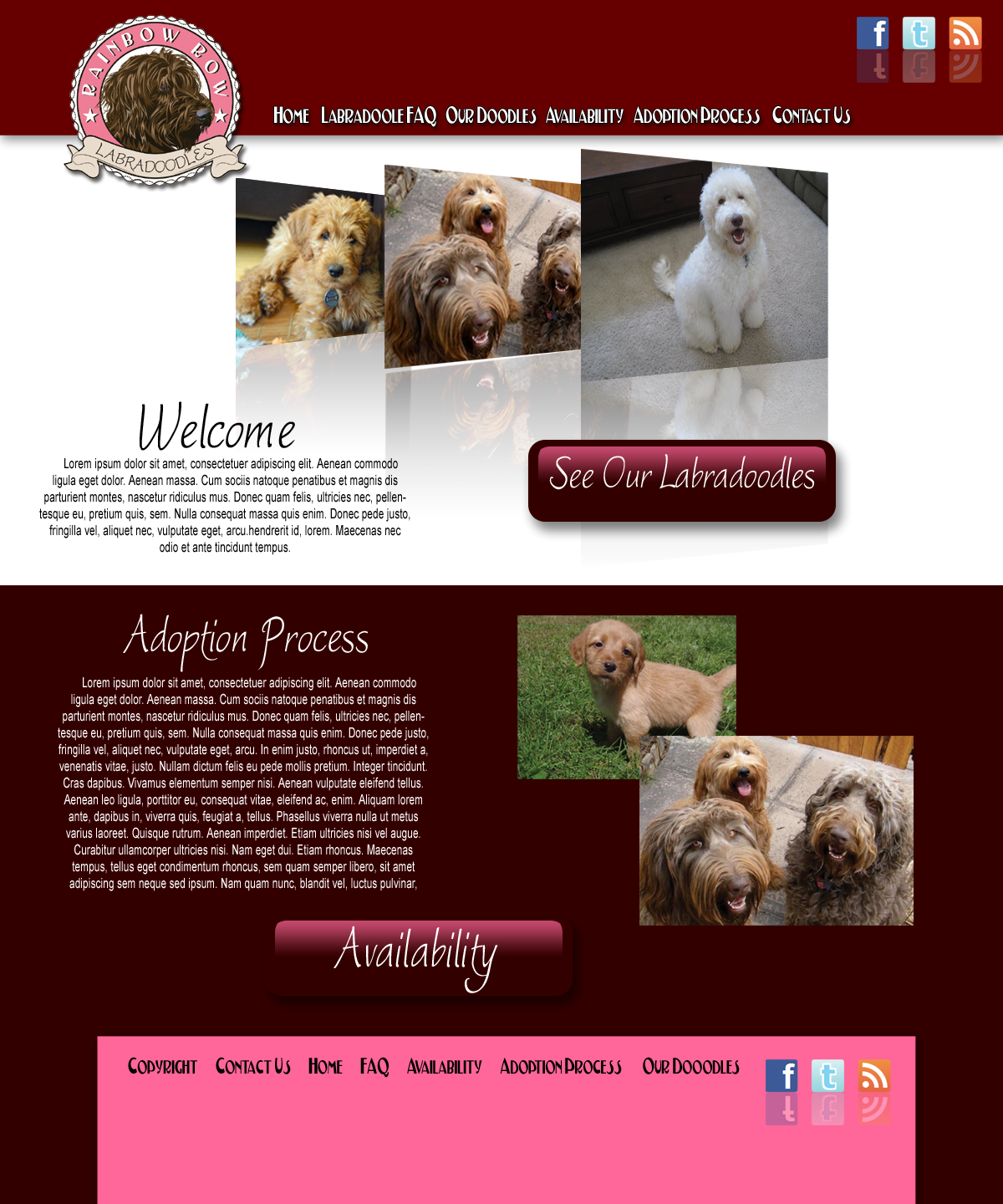 Web Design by Don Macauley for this project | Design #1944642