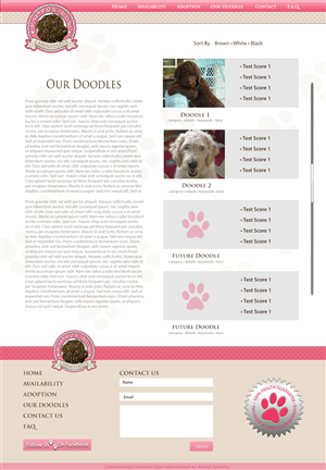 Web Design by JAC Marketing for this project | Design: #1945865