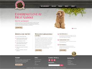 Web Design by TechWise for this project | Design: #1930970