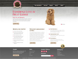 Rainbow Row Labradoodle web design | Web Design par TechWise