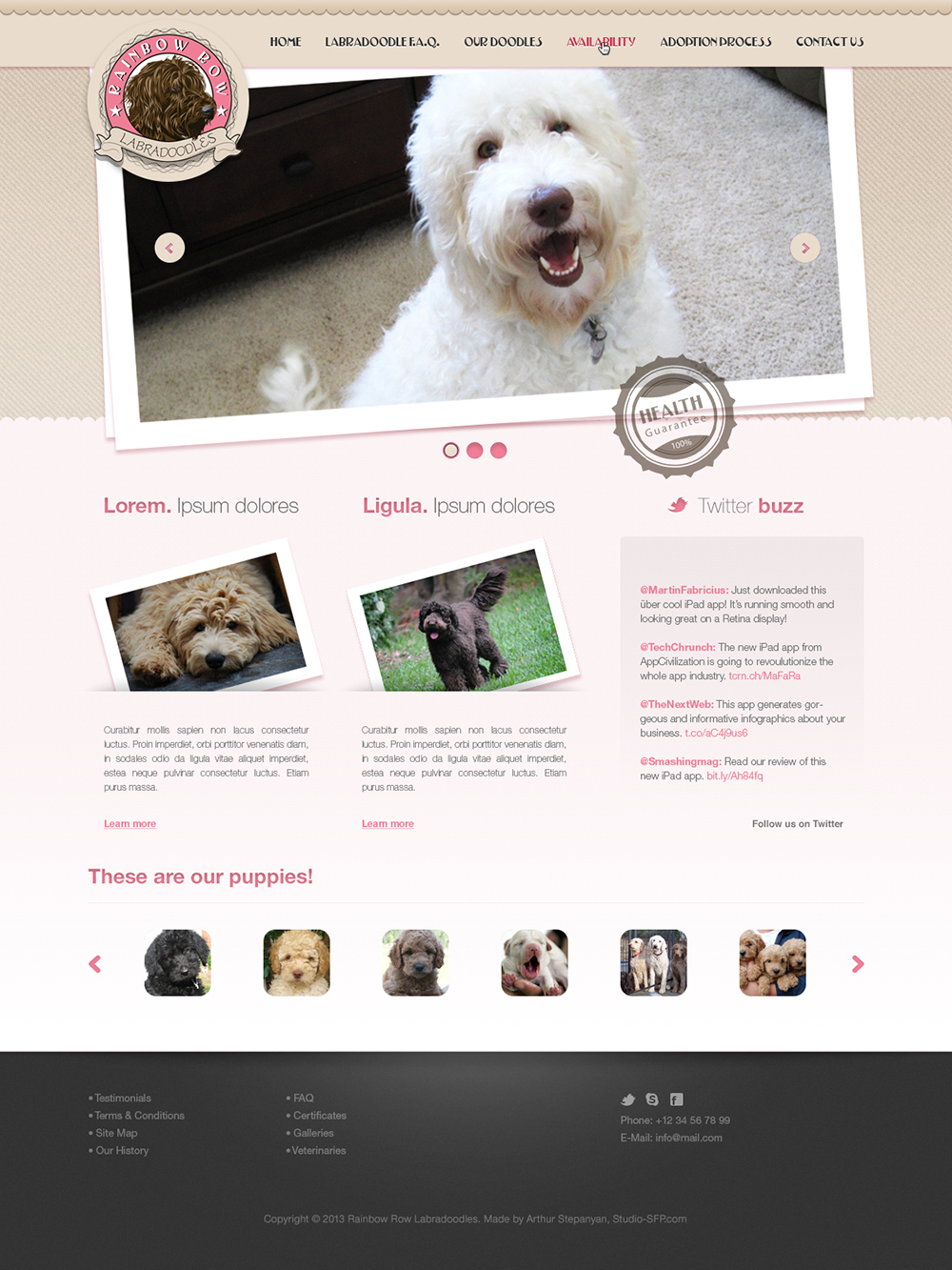 Web Design par studio-sfp.com pour ce projet | Design #1928919