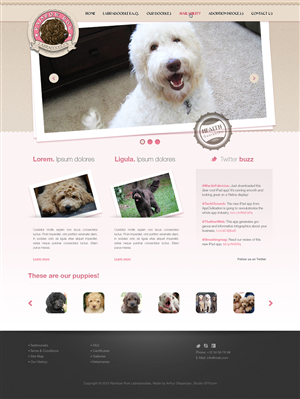 Rainbow Row Labradoodle web design | Web Design par studio-sfp.com