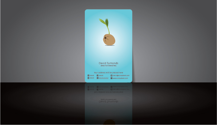 Diseño de Tarjeta de Presentación por mush para este proyecto | Diseño #7801852