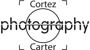 Logo Design by SEQUEN (seek-win) DESIGN
