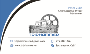 Business Card Design by Vishak vasu
