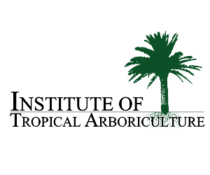 Logo Design by Alstrom