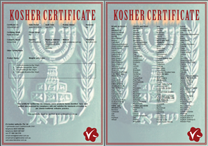 Letterhead Design by Julie Capurro