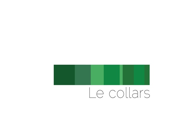 Diseño de Logo por Designer 125368 para este proyecto | Diseño #1919233