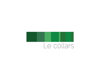 Logo Design by Designer 125368