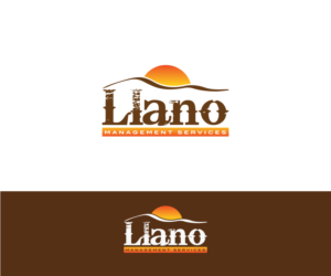 Llano Management Services | Logo Design by Mario