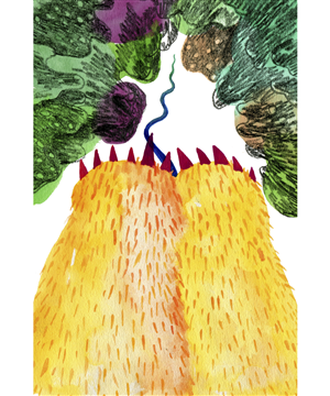 Illustration Design by tina siuda for GLEN World | Design: #1960895