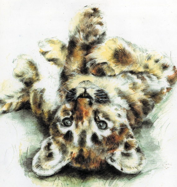 Illustration Design by Dawn Larder for GLEN World | Design #1986844