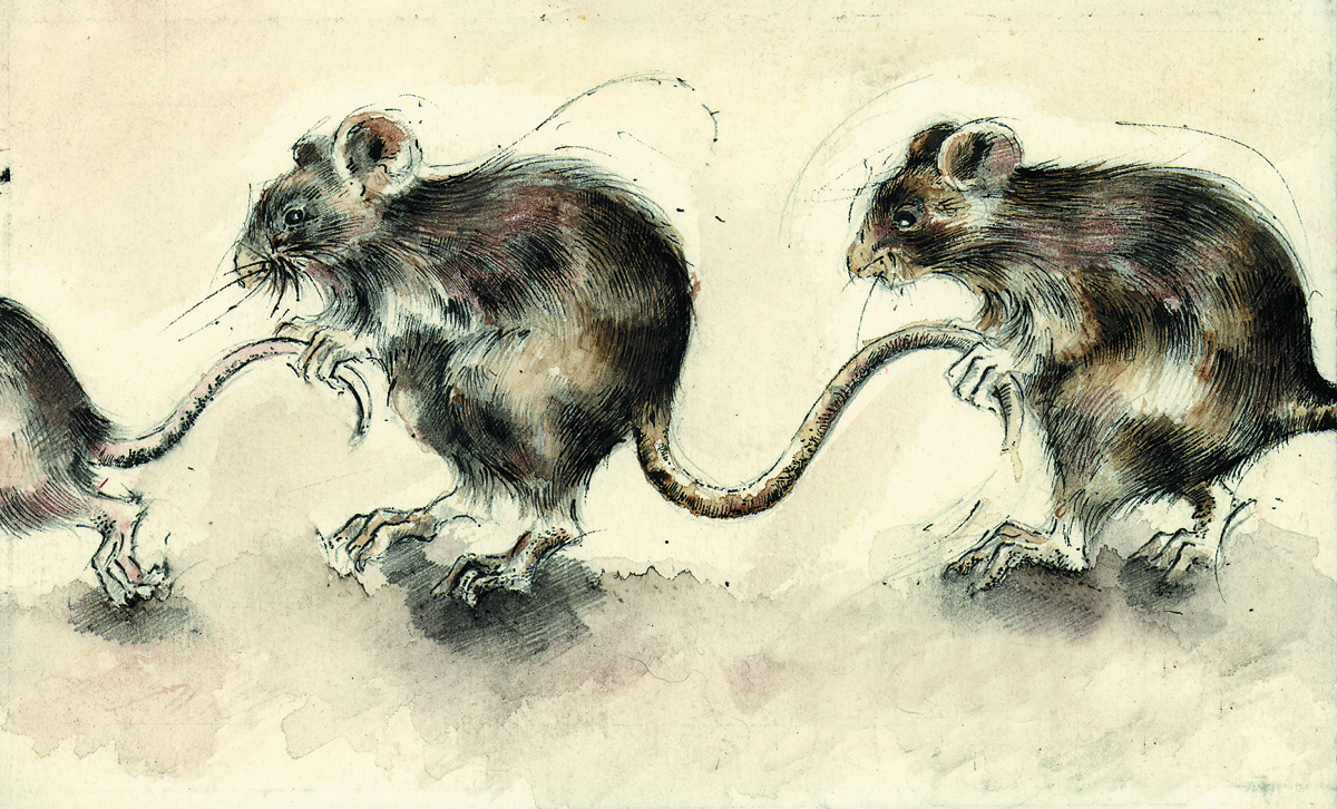 Diseño Con Ilustración por Dawn Larder para GLEN World | Diseño #1986907