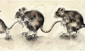 Illustration Design by Dawn Larder for GLEN World | Design: #1986907