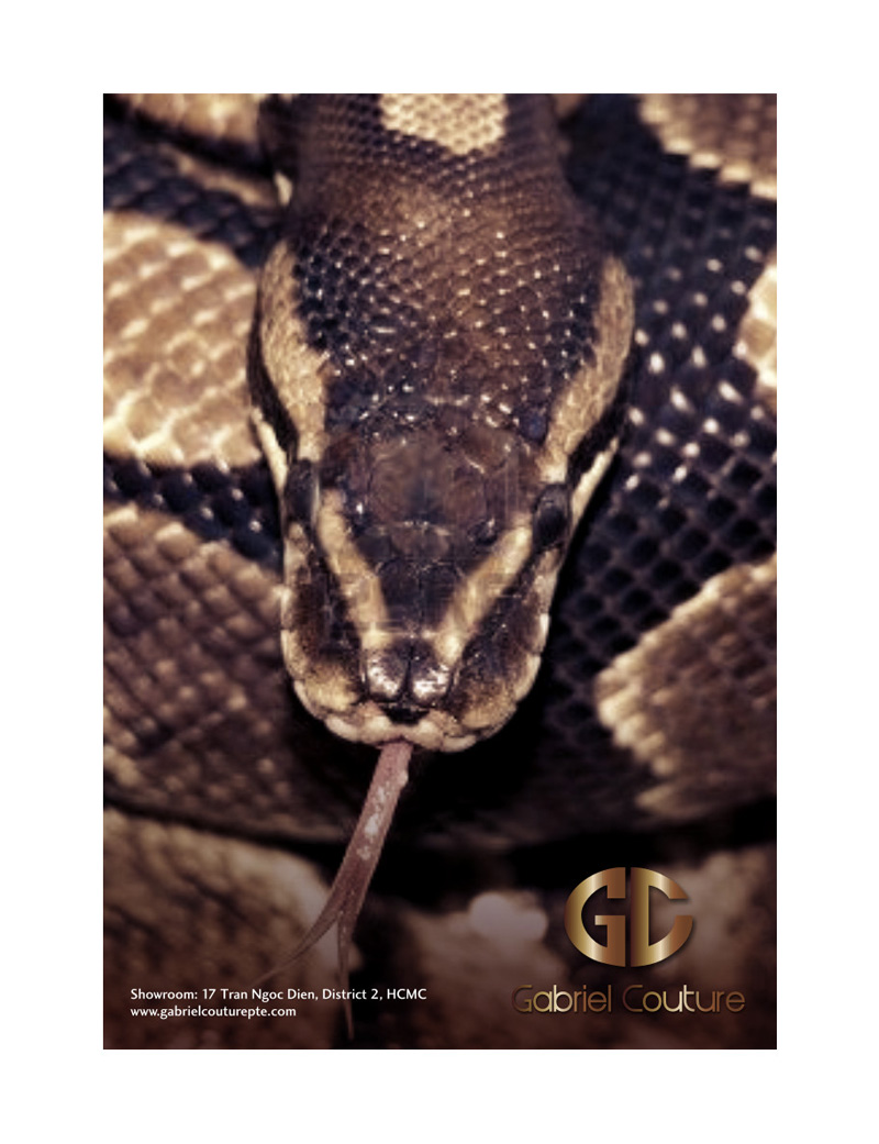 Poster Design by Atvento Graphics for High Hill Investments Ltd | Design #389904
