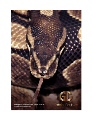 Poster Design by Atvento Graphics for High Hill Investments Ltd | Design: #389904