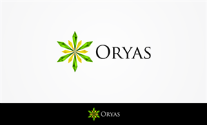 Logo Design by NightFuryDesign