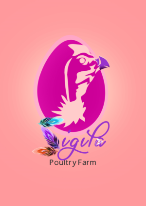 Logo Design by highresolutionsconsult