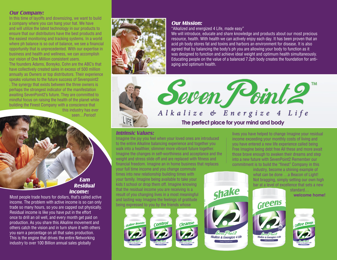 Design de Brochure par Anderson Graphic Design pour Bizproducer | Design #393258
