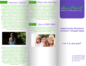 Brochure Design by Fiddy187