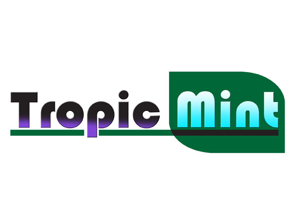 Logo Design by jimmymav for Enclave Studios, LLC | Design #407048