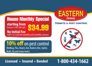 Diseño de Postal por raluca.b para Eastern Termite & Pest Control | Diseño: #7916413