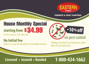 Diseño de Postal por raluca.b para Eastern Termite & Pest Control | Diseño: #7948182