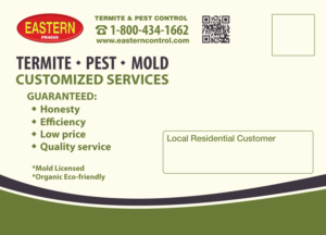 Diseño de Postal por raluca.b para Eastern Termite & Pest Control | Diseño: #7948183