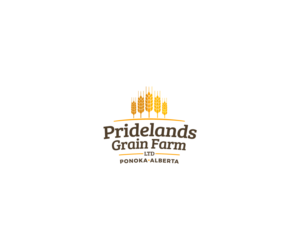 Logo-Design von Logo Guy für dieses Projekt | Design #7901272