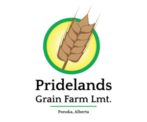 Logo Design by foxandsquirreldesigns
