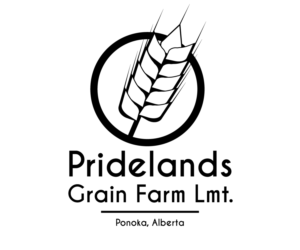 Logo Design by foxandsquirreldesigns for this project | Design: #7800520