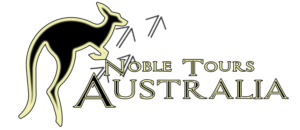 Logo Design by jmsteger09