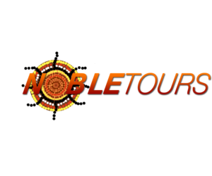 Logo Design by norzainiamin