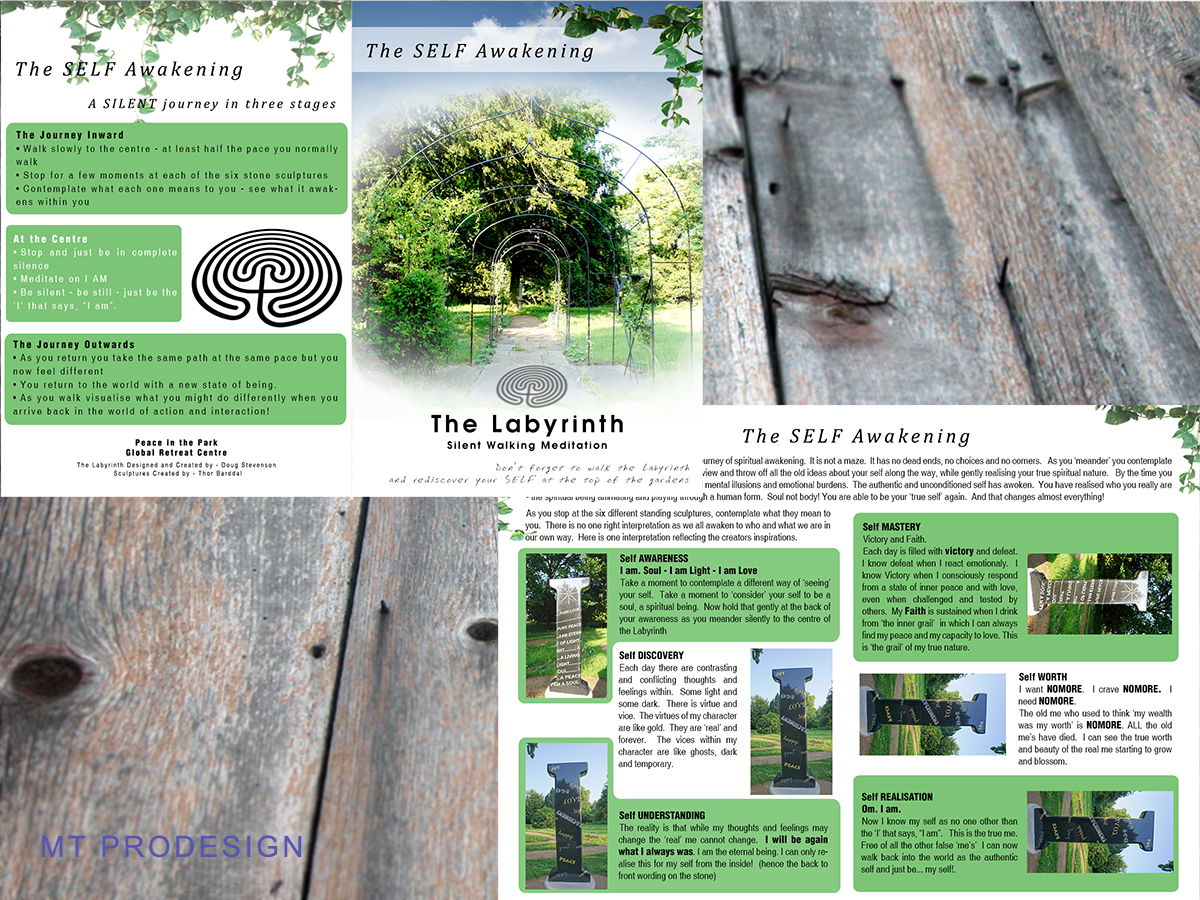 Flyer Design by MT for this project | Design: #1947030