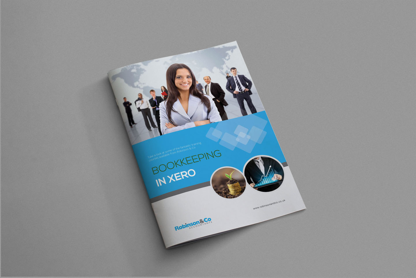 Brochure Design by iTech Graphics for Robinson & Co | Design #7857859