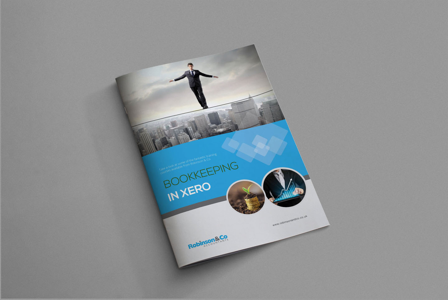 Brochure Design by iTech Graphics for Robinson & Co | Design #7857867