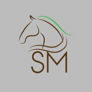 Logo Design by felixpinales1