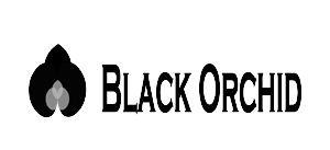 Logo Design by Kriator
