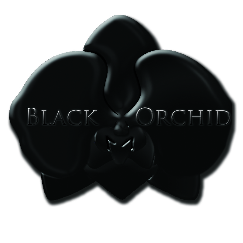 Logo Design by mikedixie for this project | Design #1931991