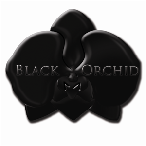 Logo Design by mikedixie for this project | Design: #1931991