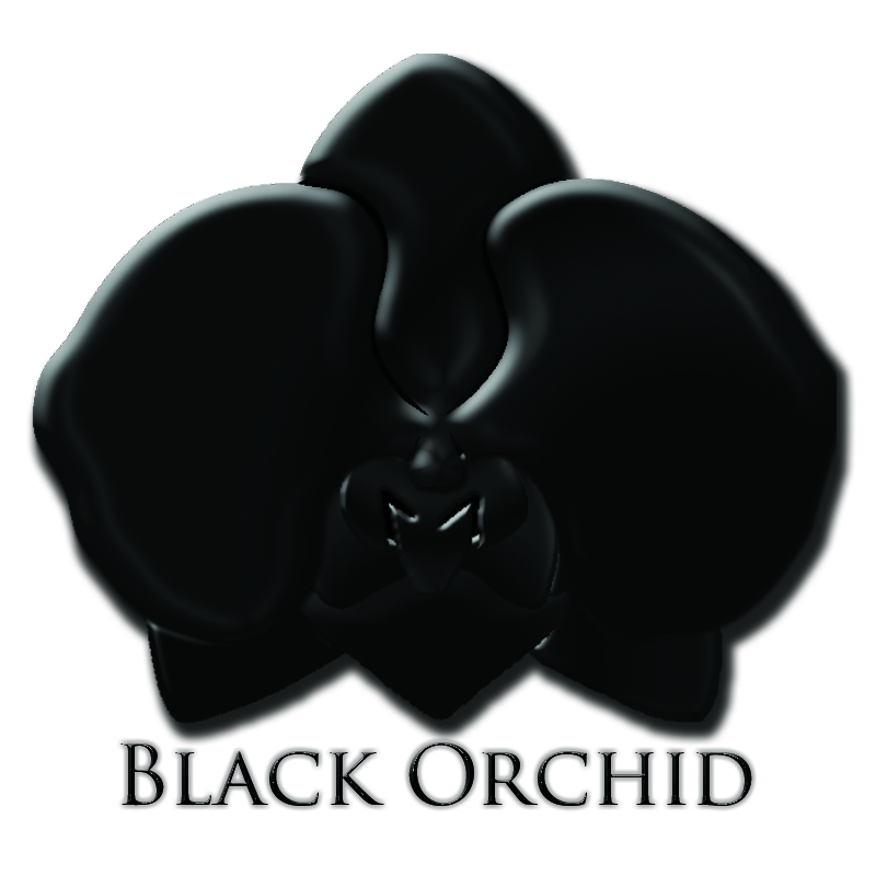Logo Design by mikedixie for this project | Design #1933181