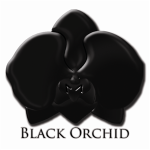 Logo Design by mikedixie for this project | Design: #1933181