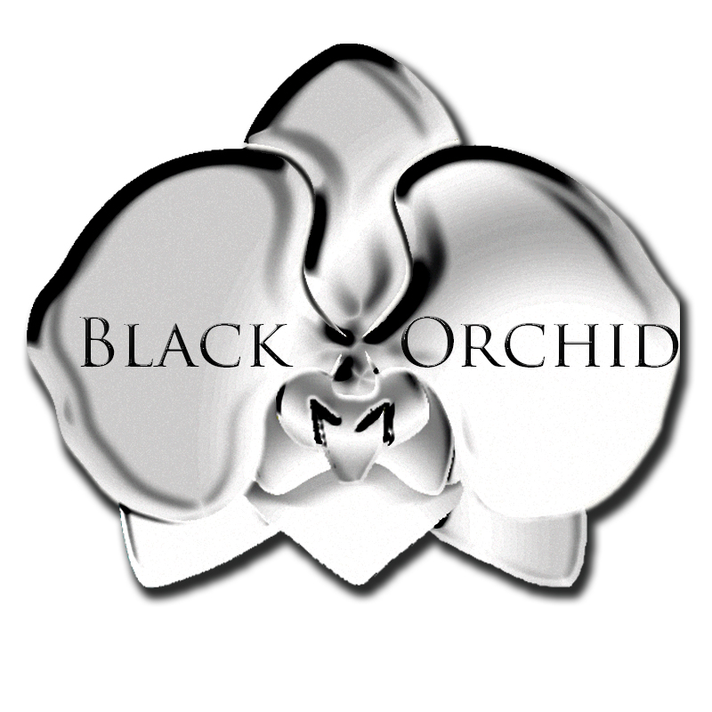 Logo Design by mikedixie for this project | Design #1933209